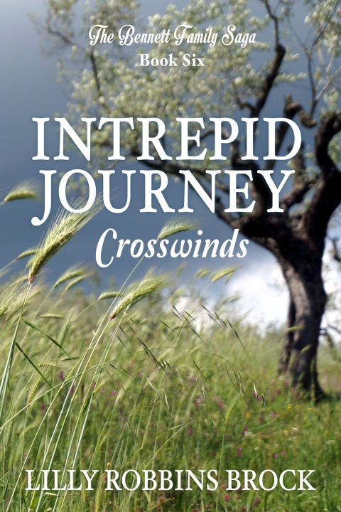 Knjiga Intrepid Journey Lilly Robbins Brock