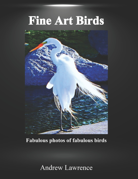 Libro Fine Art Birds Andrew Lawrence