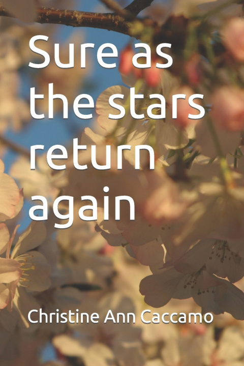 Knjiga Sure as the stars return again Christine Ann Caccamo