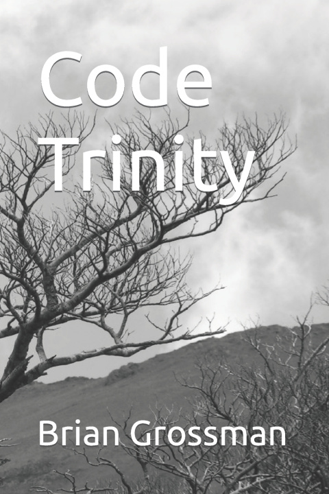 Knjiga Code Trinity Brian Grossman