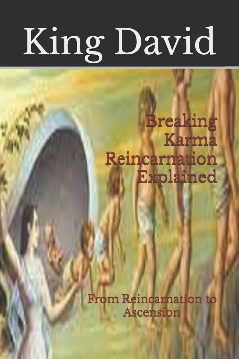 Boek Breaking Karma Reincarnation Explained David Solomon Brown