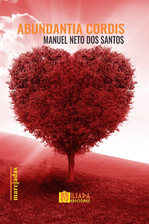 Boek Abundantia Cordis Manuel Neto Dos Santos