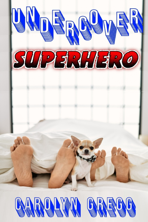 Buch Undercover Superhero Linda Mooney