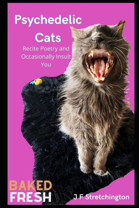 Knjiga Psychedelic Cats J F Stretchington