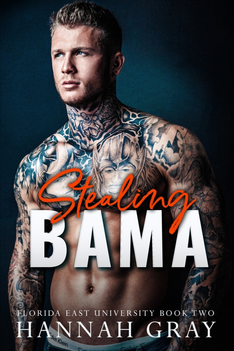 Boek Stealing Bama Hannah Gray