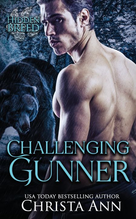 Knjiga Challenging Gunner Christa Ann