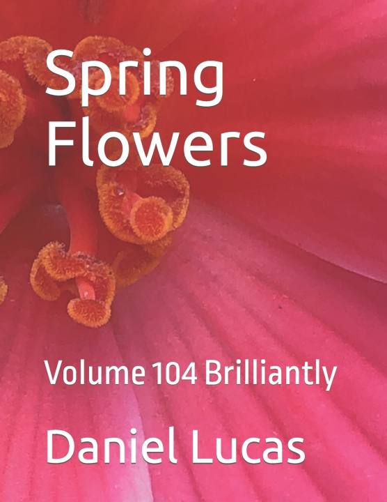 Carte Spring Flowers Daniel Lucas