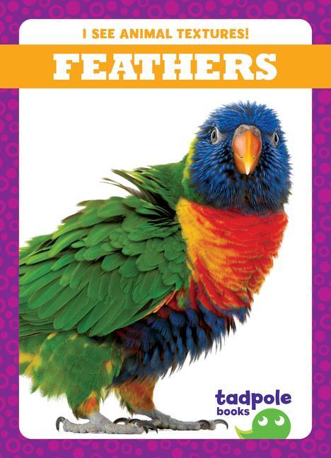 Kniha Feathers 