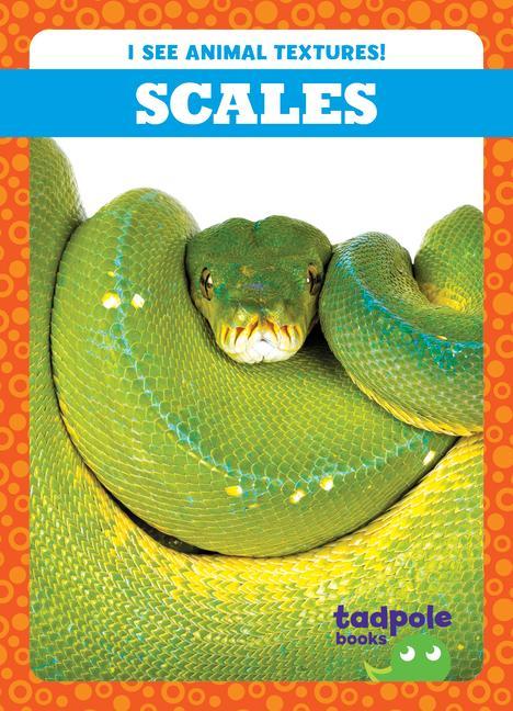 Knjiga Scales 