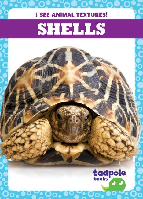 Knjiga Shells 
