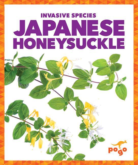 Kniha Japanese Honeysuckle 