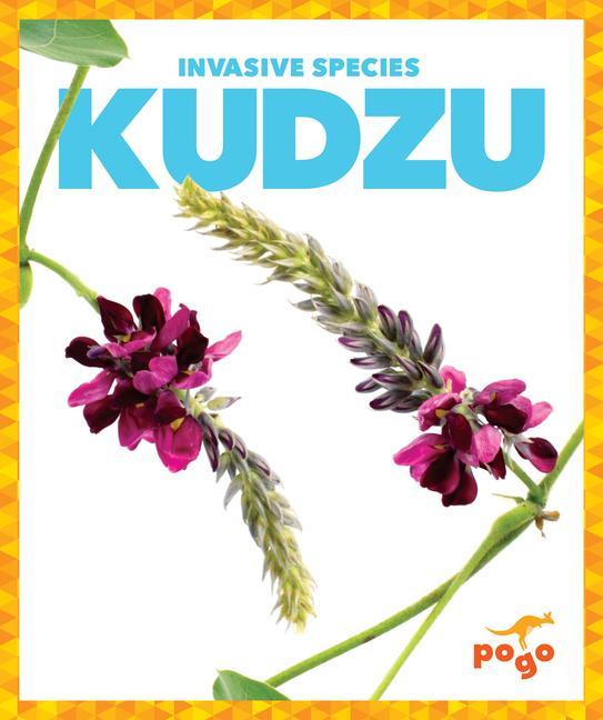 Buch Kudzu 