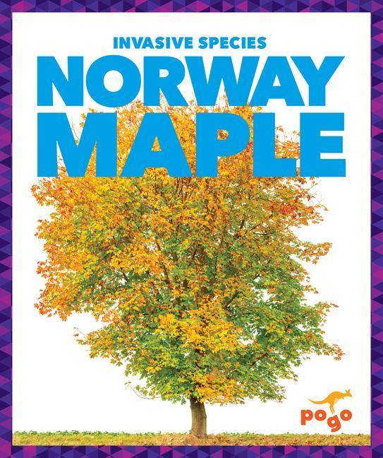 Knjiga Norway Maple 