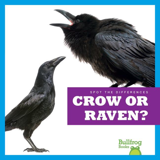 Kniha Crow or Raven? 