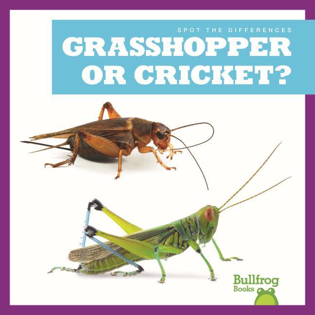 Knjiga Grasshopper or Cricket? 