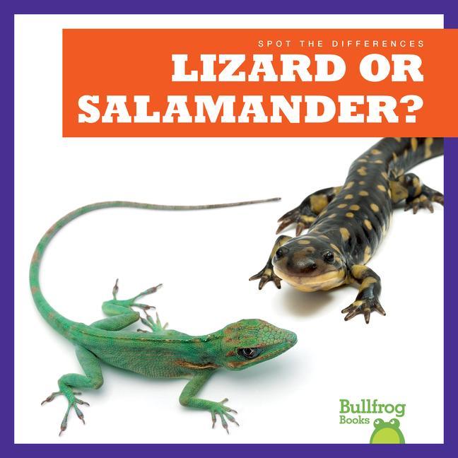 Knjiga Lizard or Salamander? 