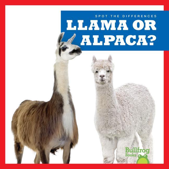 Carte Llama or Alpaca? 