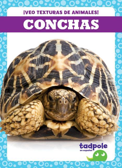 Knjiga Conchas (Shells) 
