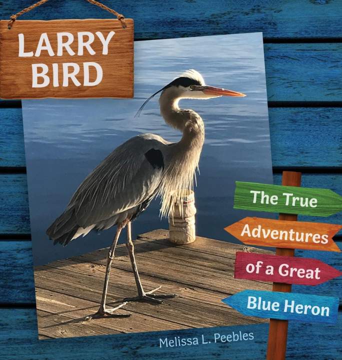 Kniha Larry Bird Veronica M. Scott