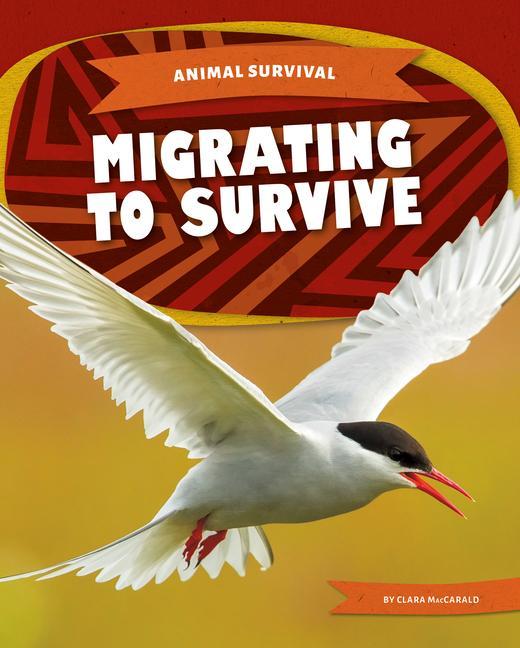 Buch Migrating to Survive 
