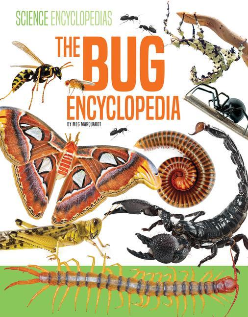 Kniha The Bug Encyclopedia Meg Marquardt