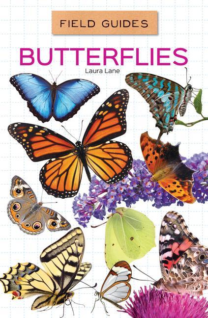 Libro Butterflies 