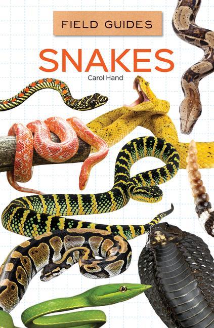 Kniha Snakes 