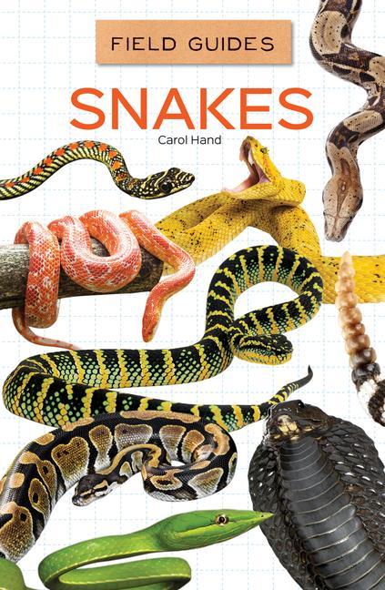 Βιβλίο Snakes 