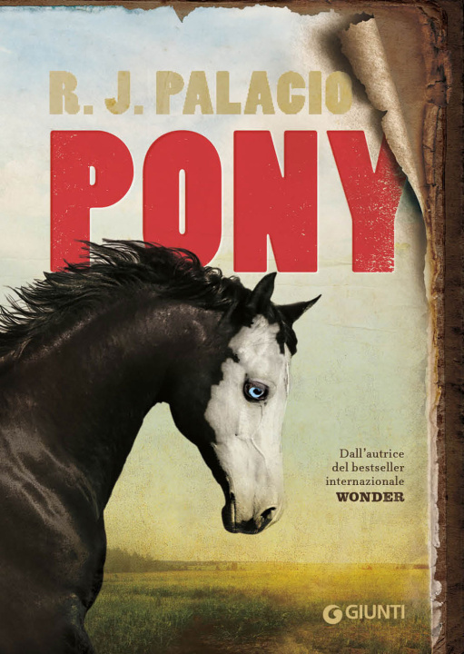 Kniha Pony R. J. Palacio