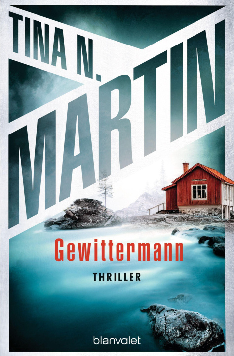 Knjiga Gewittermann Leena Flegler