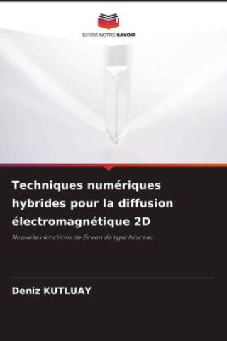 Boek Techniques numériques hybrides pour la diffusion électromagnétique 2D Deniz KUTLUAY