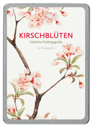 Libro Kirschblüten 