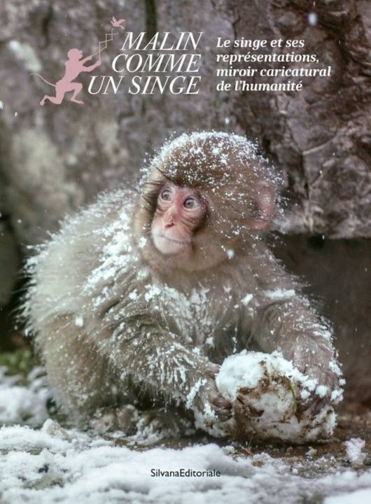 Knjiga MALIN COMME UN SINGE GROSLAMBERT YOANN
