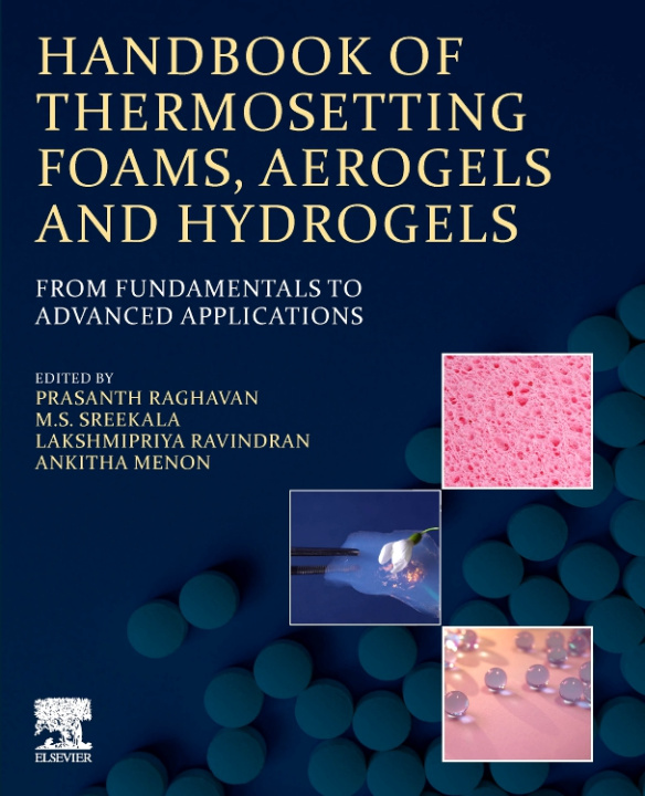 Kniha Handbook of Thermosetting Foams, Aerogels, and Hydrogels Prasanth Raghavan