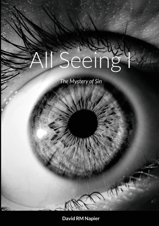Knjiga All Seeing I David Napier