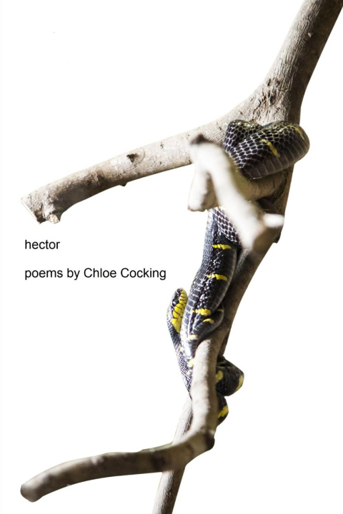 Βιβλίο Hector Chloe Cocking