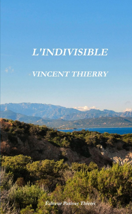 Buch L'INDIVISIBLE Vincent Thierry