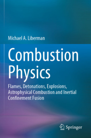 Knjiga Combustion Physics Michael A. Liberman