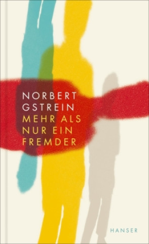 Knjiga Mehr als nur ein Fremder Norbert Gstrein