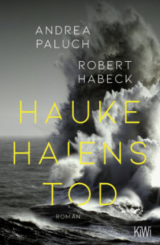 Kniha Hauke Haiens Tod Andrea Paluch