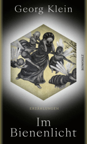 Buch Im Bienenlicht Georg Klein