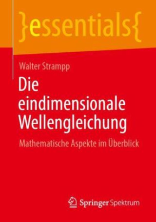 Kniha Die eindimensionale Wellengleichung Walter Strampp