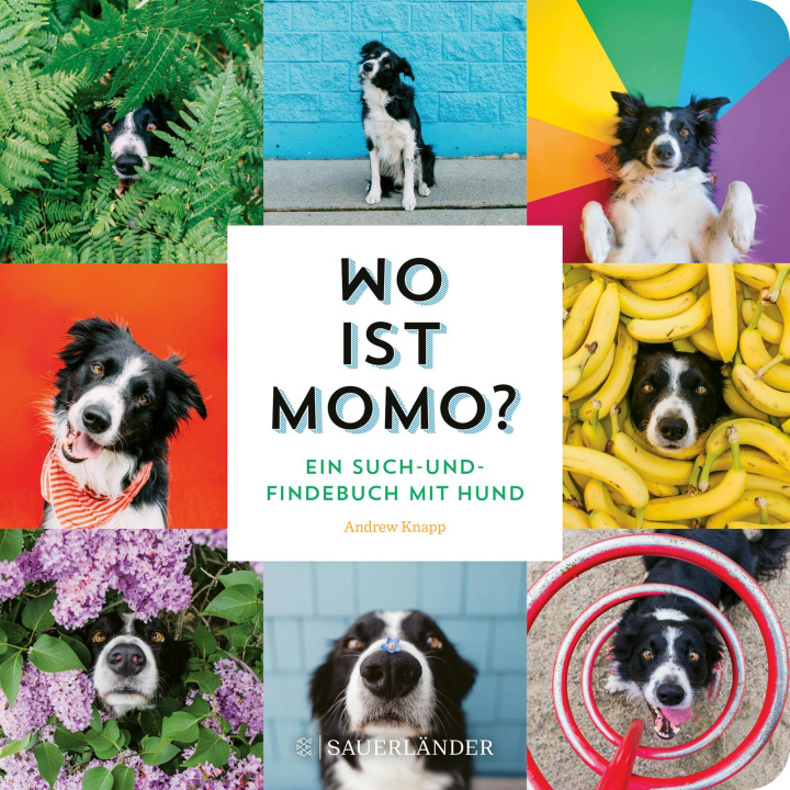 Kniha Wo ist Momo? Andrew Knapp