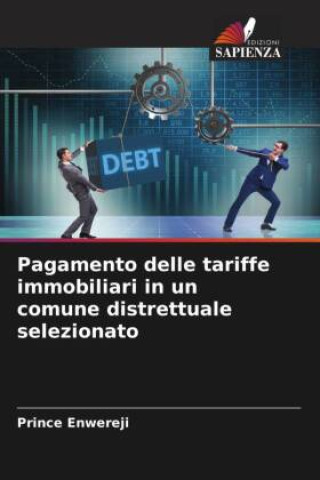 Carte Pagamento delle tariffe immobiliari in un comune distrettuale selezionato Prince Enwereji