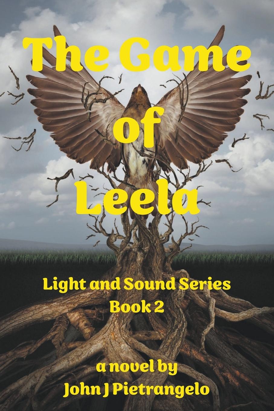 Könyv The Game of Leela 