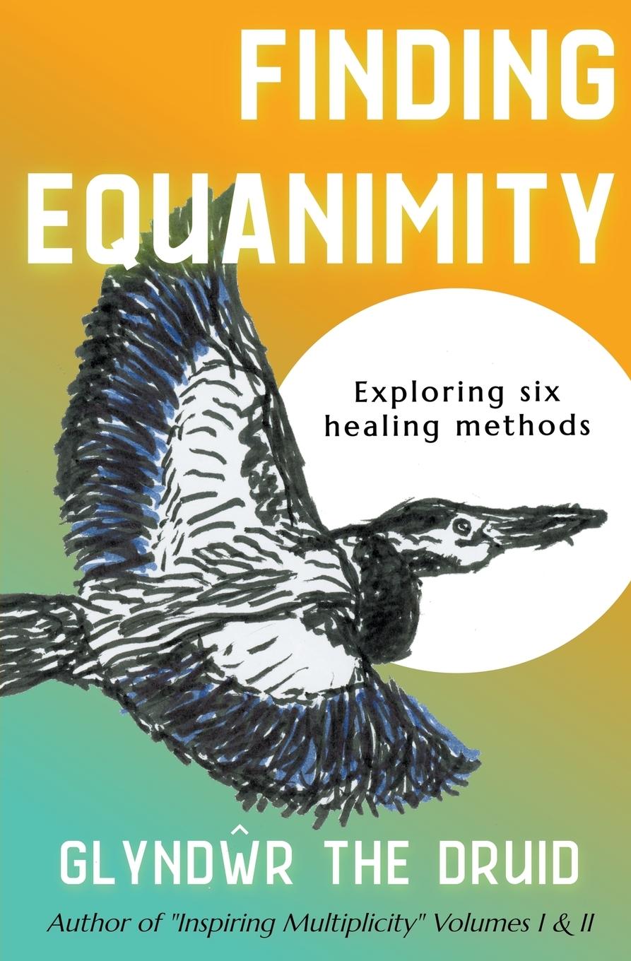 Knjiga Finding Equanimity Glyndwr Merriman