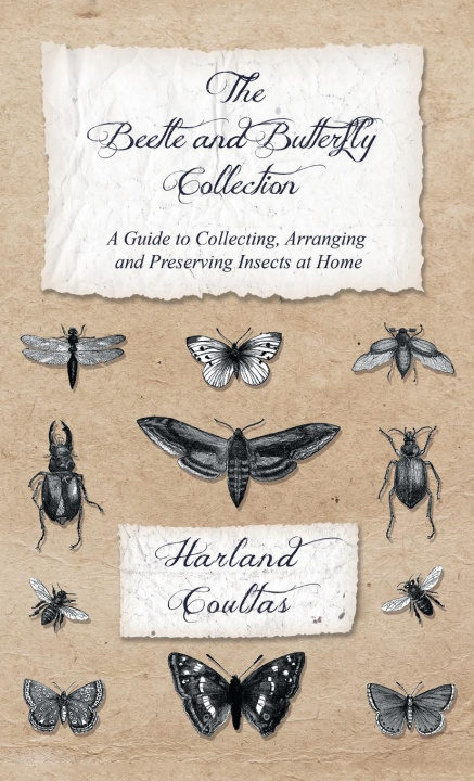Carte Beetle and Butterfly Collection - A Guide to Collecting, Arranging and Preserving Insects at Home 