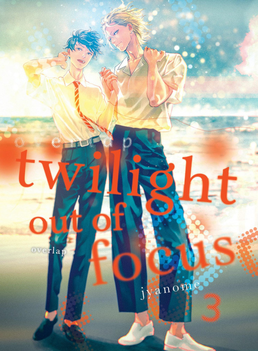Knjiga Twilight Out of Focus 3: Overlap 