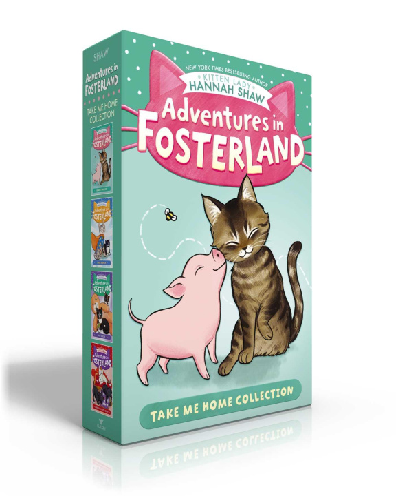 Книга Adventures in Fosterland Take Me Home Collection (Boxed Set): Emmett and Jez; Super Spinach; Baby Badger; Snowpea the Puppy Queen Bev Johnson