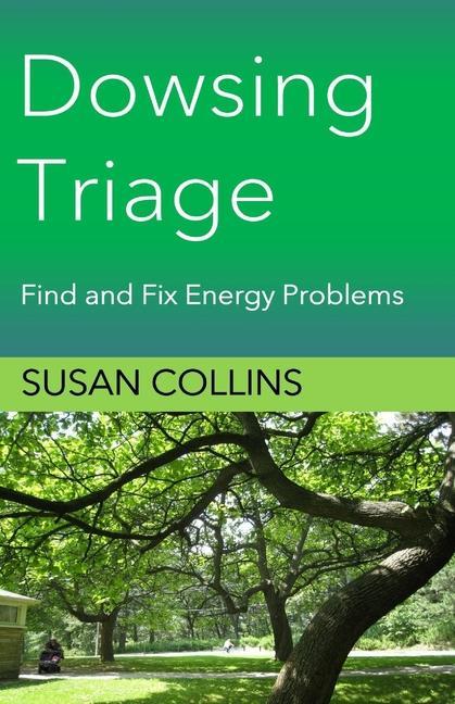 Kniha Dowsing Triage: Find and Fix Energy Problems 